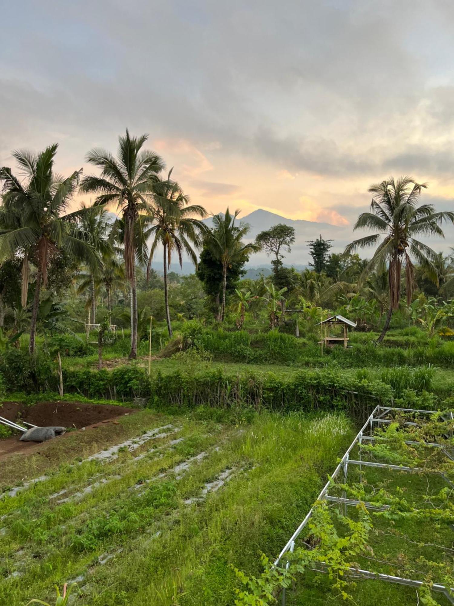 Rinjani Eco Villa Senaru Bayan Bagian luar foto
