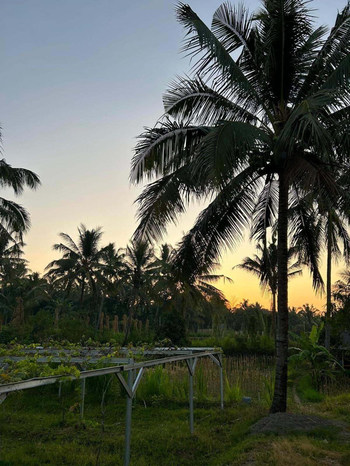 Rinjani Eco Villa Senaru Bayan Bagian luar foto