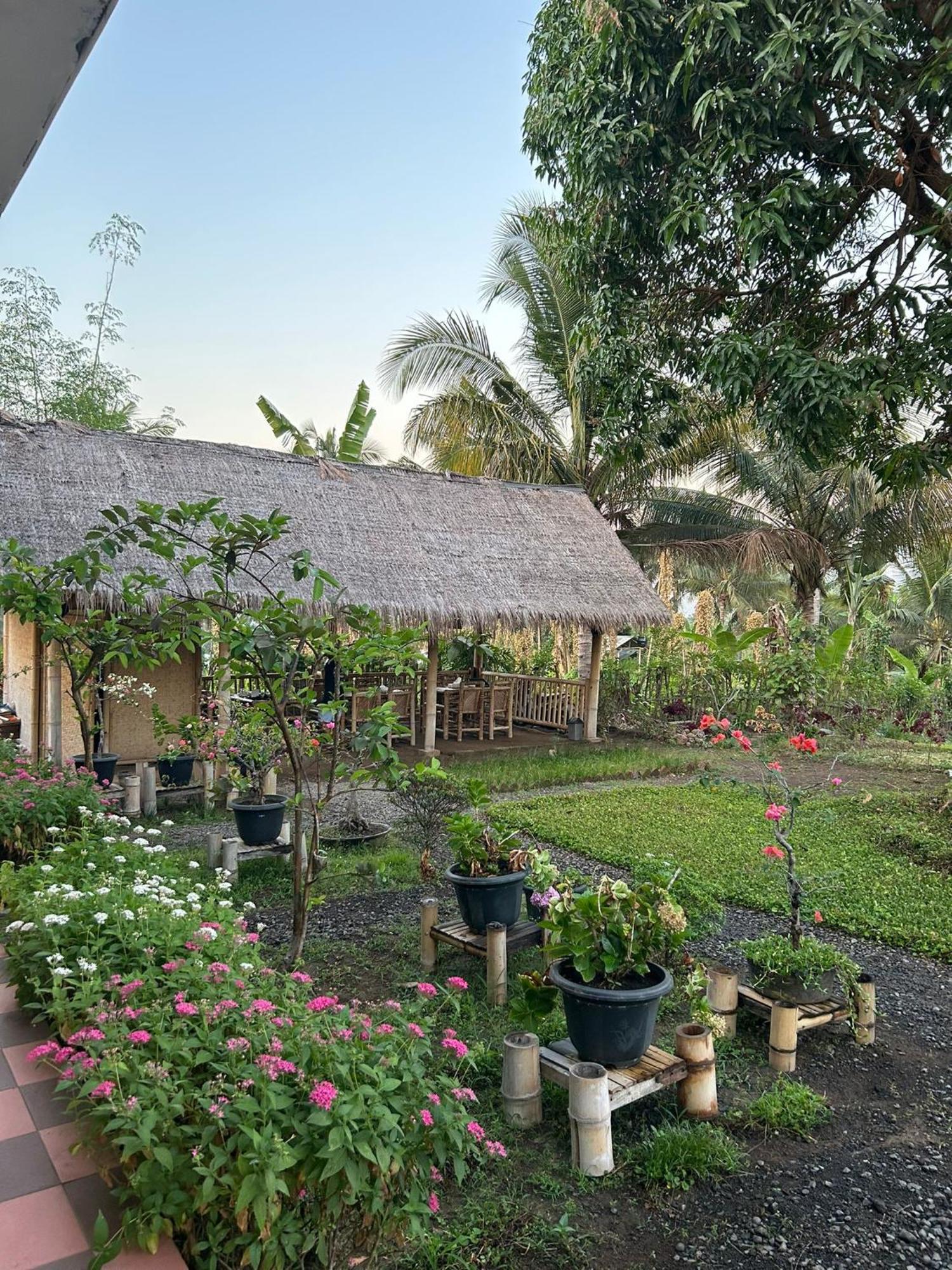 Rinjani Eco Villa Senaru Bayan Bagian luar foto