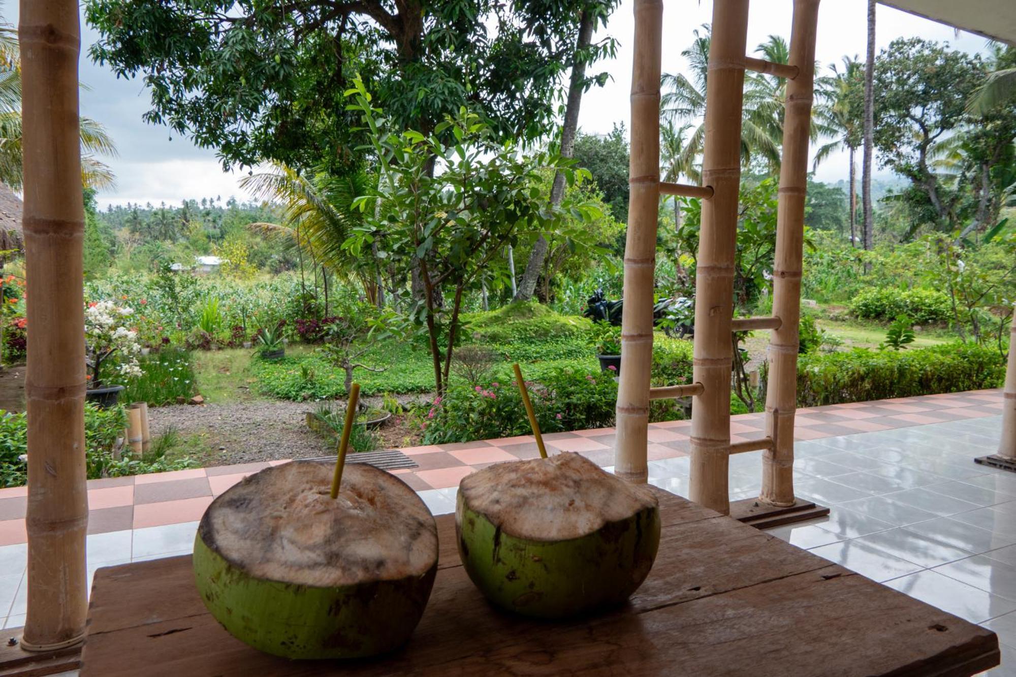 Rinjani Eco Villa Senaru Bayan Bagian luar foto
